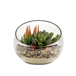 12" Bubba Slant Bowl with Succulent Arrangement   AR1596