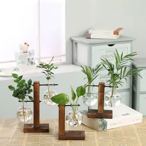 Clear Hydroponic Plant Vases