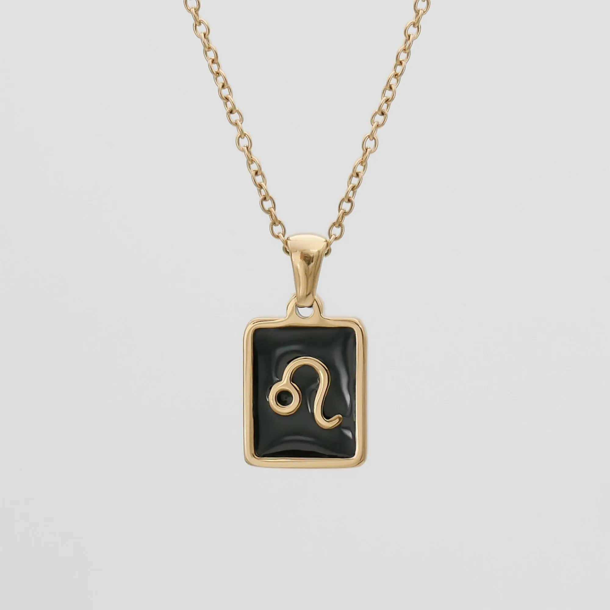 Onyx Zodiac Symbol Necklace