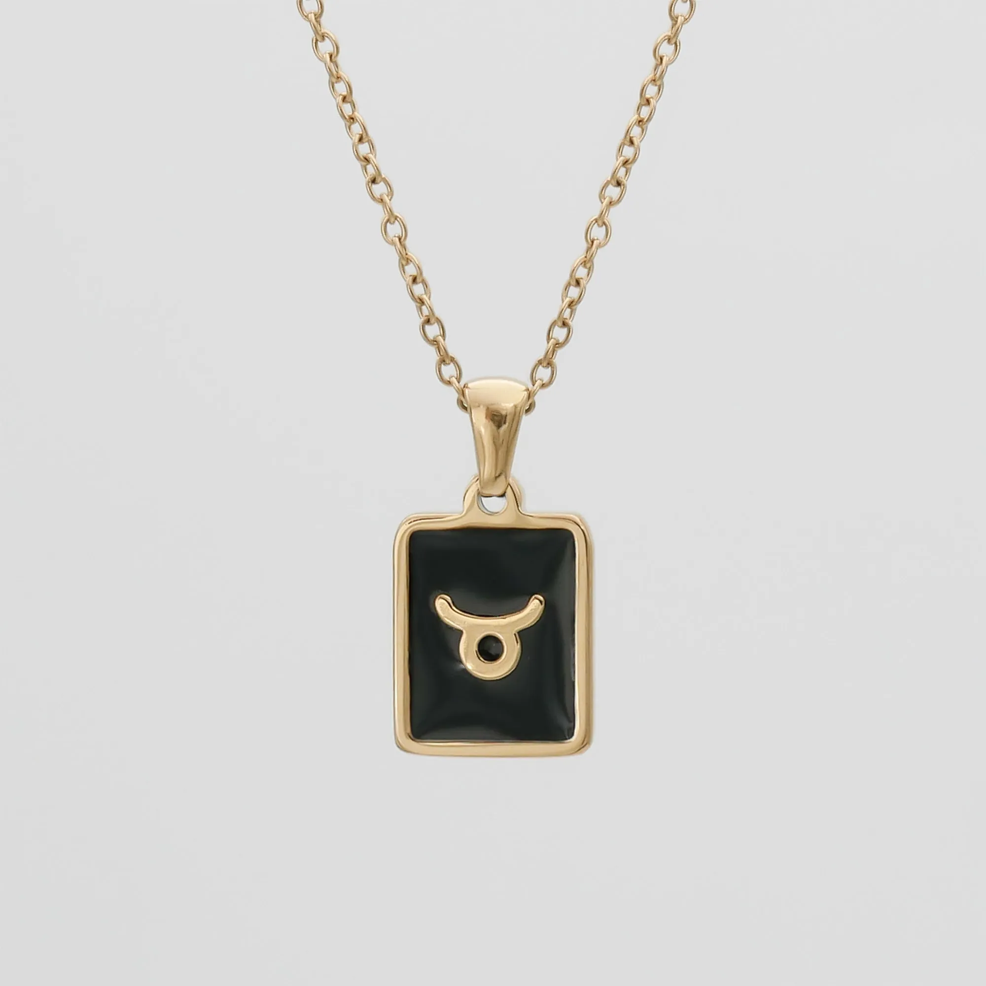 Onyx Zodiac Symbol Necklace