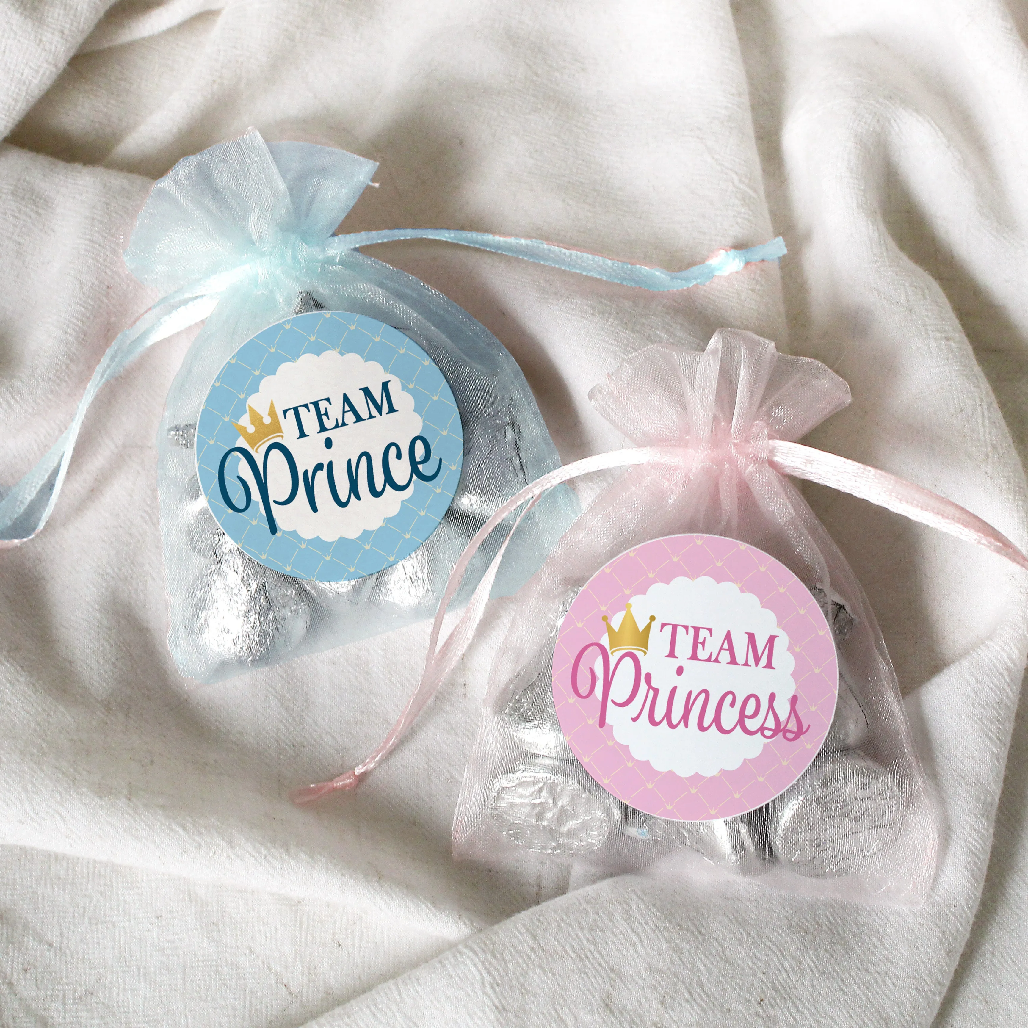 Royal Baby Gender Reveal Party -Team Prince or Team Princess - 40 Stickers