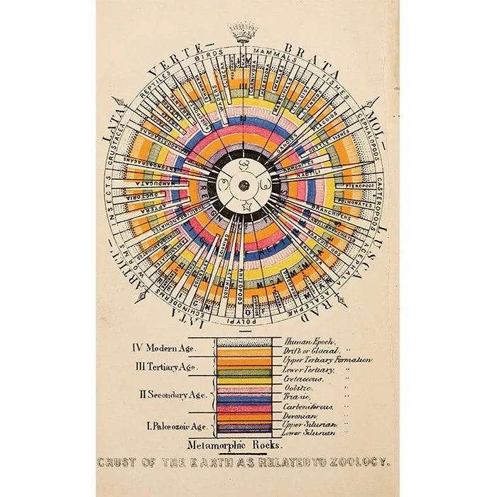 The Book of Circles - Manuel Lima